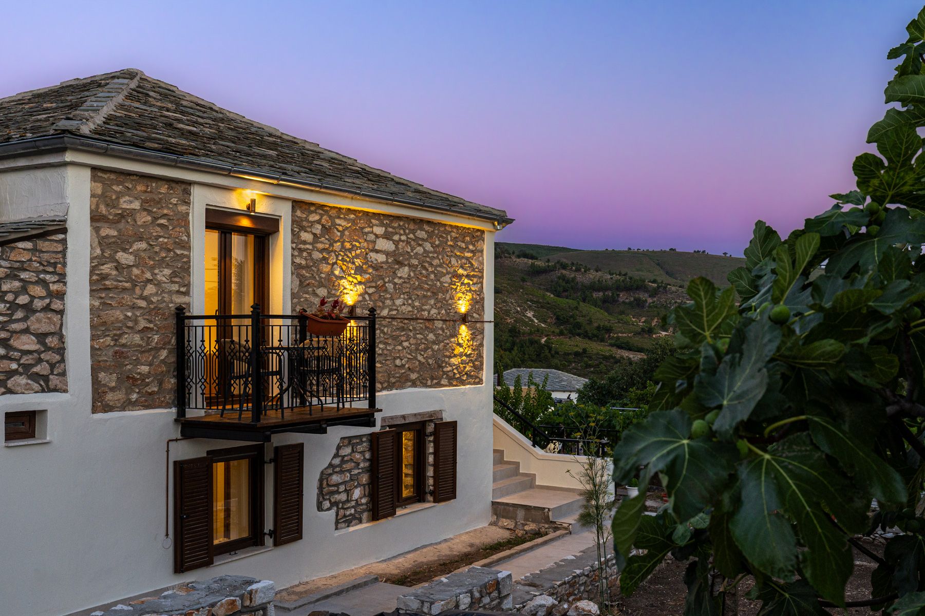 The house at dusk, seen past a fig tree